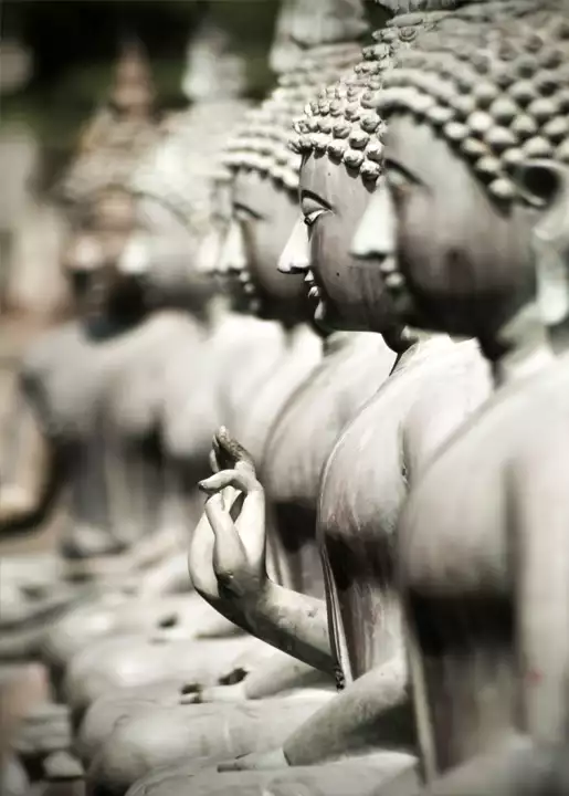 Buddha Quotes on Good Karma