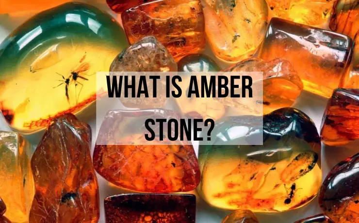 What is Amber Stone?